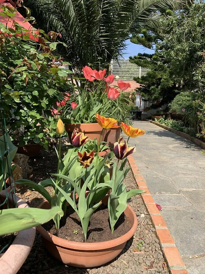 Resort Villa Rosa Maria Savona
